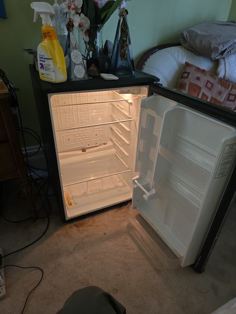 Mini Fridge