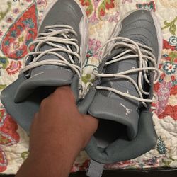 Jordan 12 Grey 
