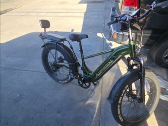 Apis e bike