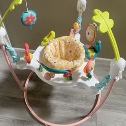 Fisher Price Blooming Fun Jumper