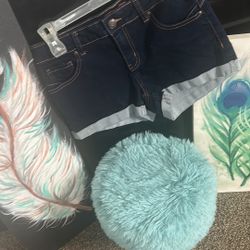 Dark Denim Juniors Shorts Size M 