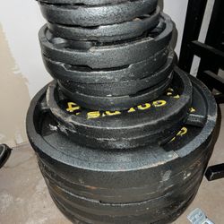 Weights/ Bench/ Bars