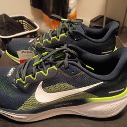 Nike Seattle Seahawks Style 