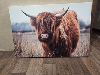 Cow portrait oversized canvas great for headboard for on top of a sofa