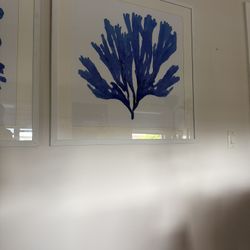 Two Art frame Coastal