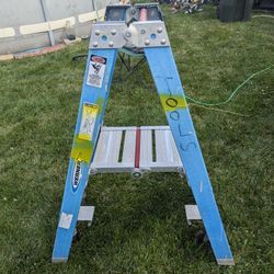 Werner two step platform ladder 
