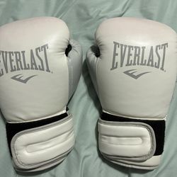 everlast boxing gloves