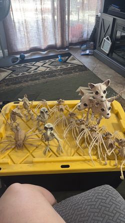 Halloween Skeleton Animal Decoration Set
