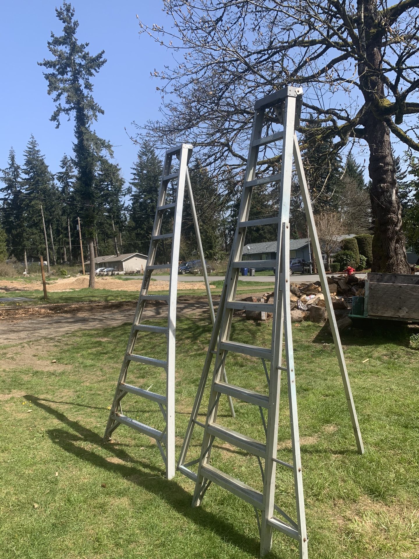2 Long Ladder $175 And $200 Ladder OBO