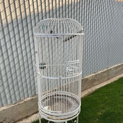 Bird Cage 