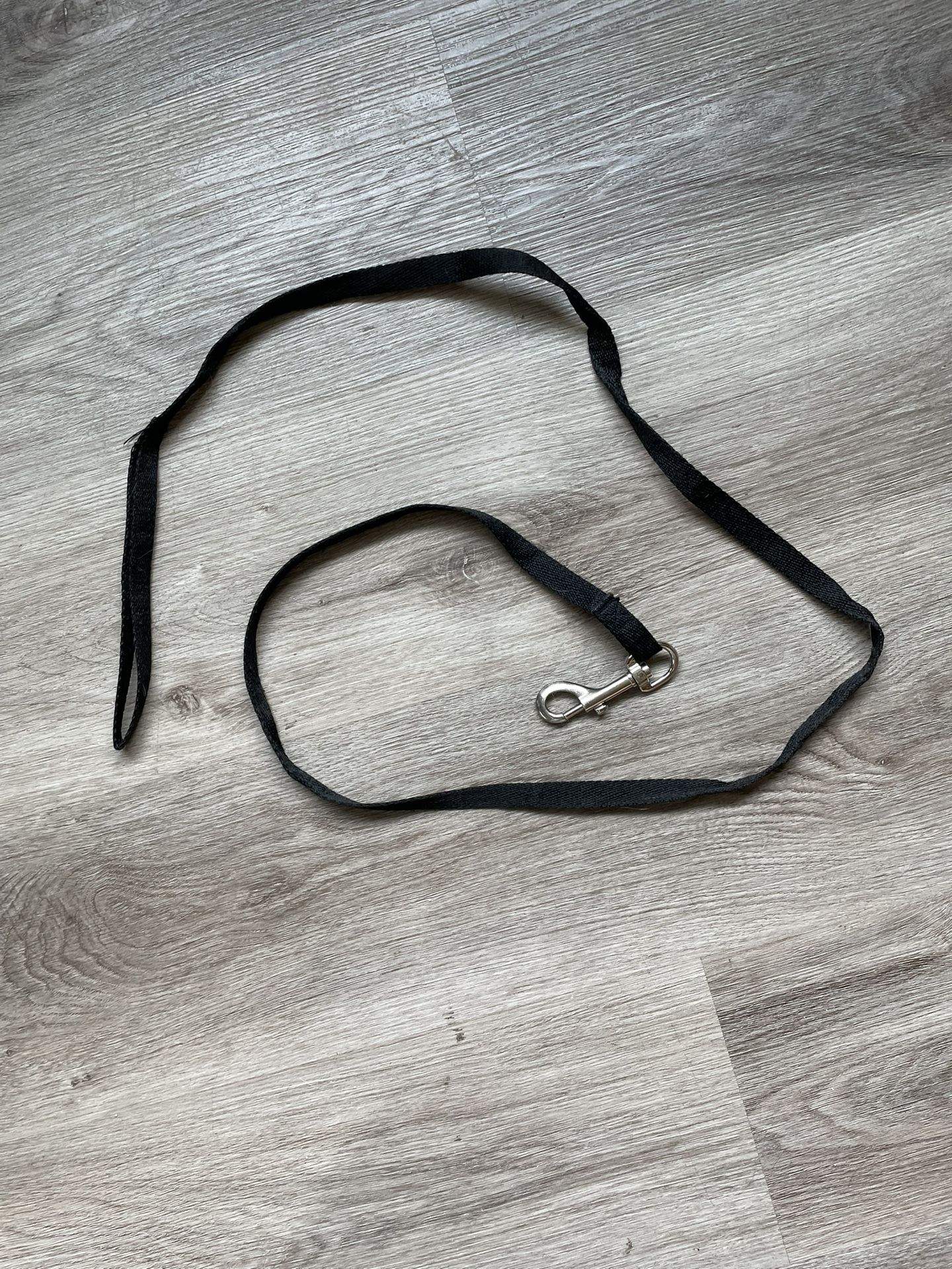 free pet leash