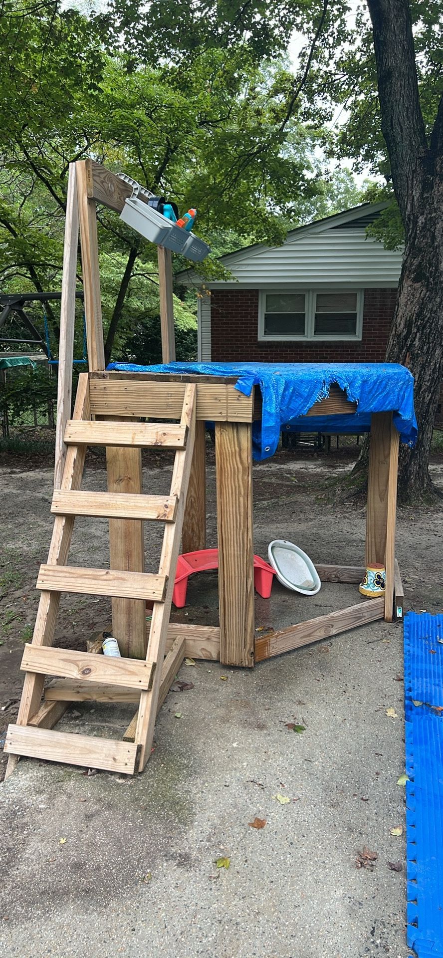 Small Platform With Ladder
