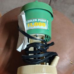 Evap Cooler Pump 