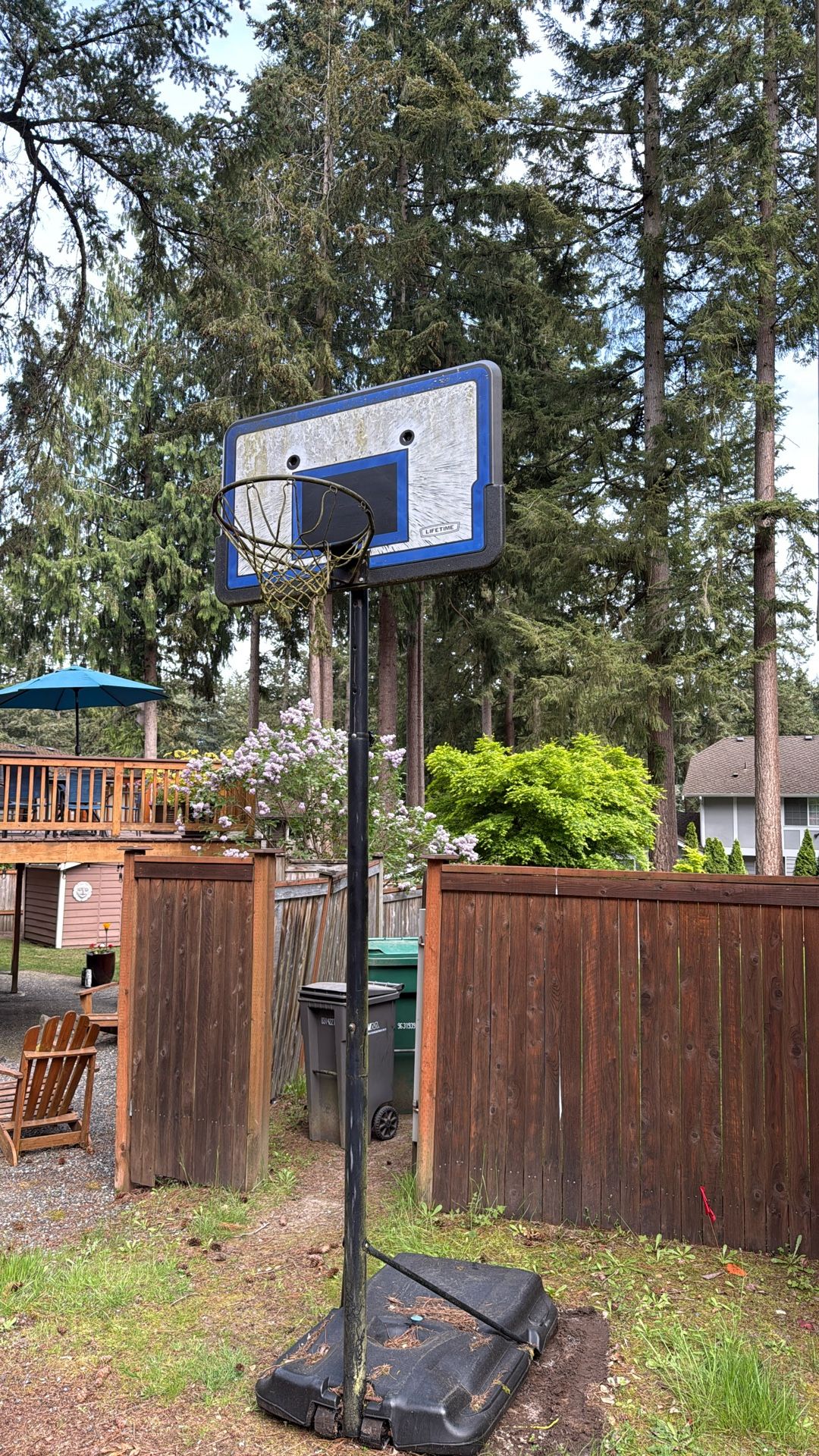 Basketball Hoop