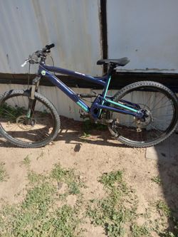 Diamondback mountain bike large