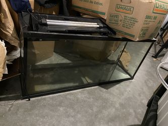 Fish Tanks