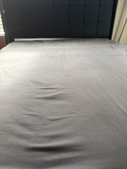 Full Size Upholstery Bed w/ Mattress