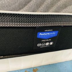 King Mattress Sealy 🦖