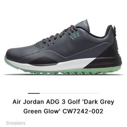 Jordan Golf Shoes Size 11