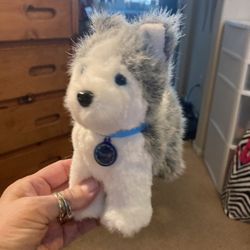 American girl pepper husky