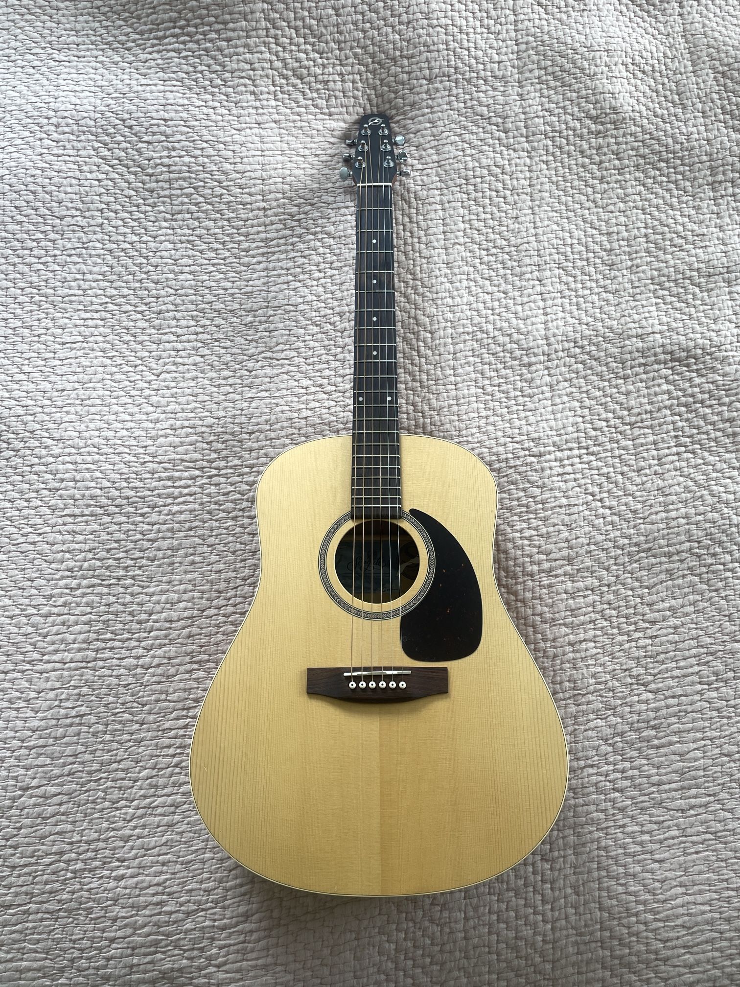 Seagull S6 Acoustic Guitar