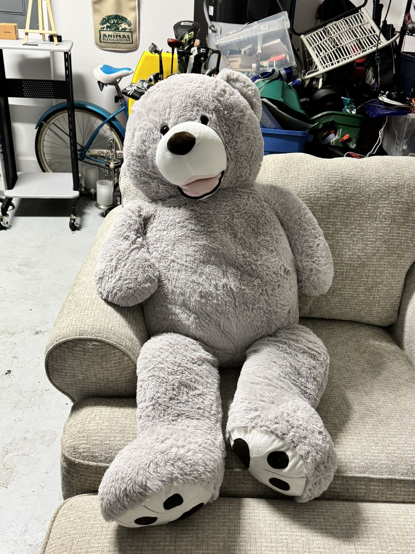 Teddy Bear