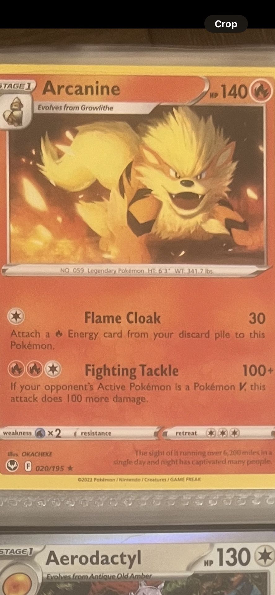 Arcanine 20/195