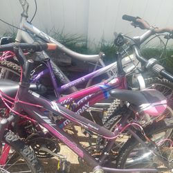 7 COMPLETE BIKES , THAT NEED BASIC MAINTENANCE,  TAKE ALL 7 $100 