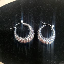 Stainless Steel Earings