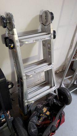 Gorilla ladder