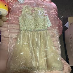 GLS Champagne dress for Quince, Party, Prom, and more. Size Small