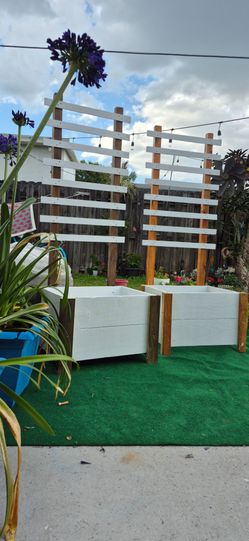 Red Cedar Planter Box's with Climbing Trellis