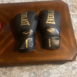 Everlast Elite 2 Boxing Gloves Men  16 oz