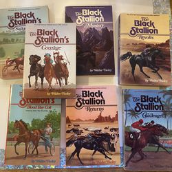 The Black Stallion Book Collection