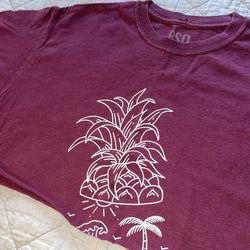 Maroon or burgundy tshirt crop top 