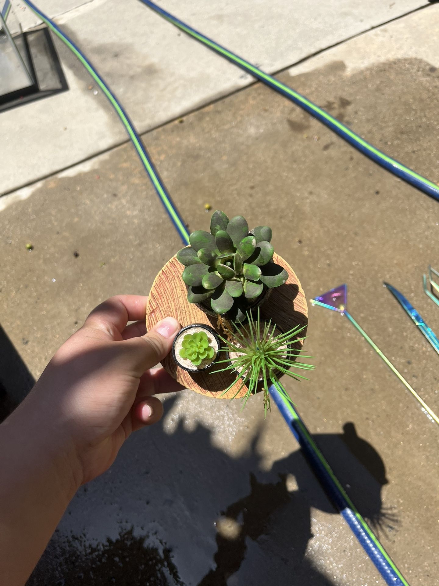 Plastic Succulent Fish Tank Decor