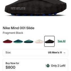 Authentic Brand New Exclusive Nike Mind Slippers 