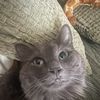Charlie