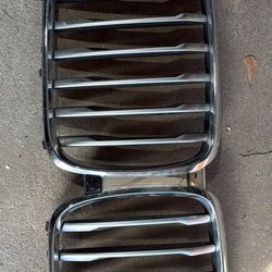 2019-2023 BMW X5 (G05) Chrome Grille with Camera Hole OEM
