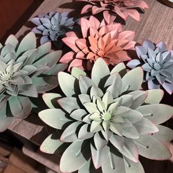 Succulent Decor 
