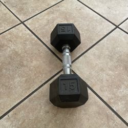 15 pound dumbbell 