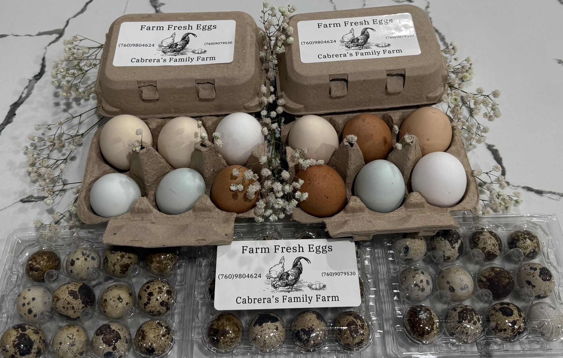 Fresh Eggs