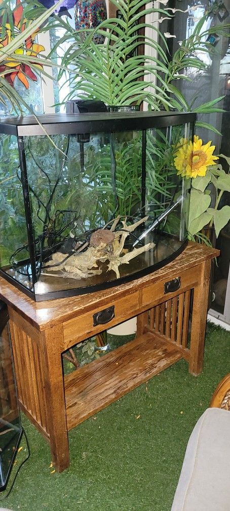 30 Gallon Fish Tank Freshwater With Table