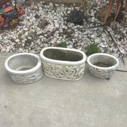 Plant Pots 