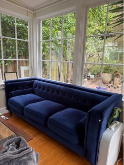 Velvet couch