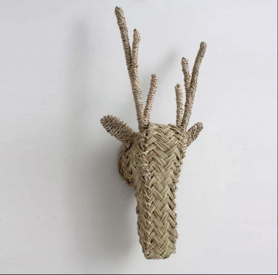 Hand made in Morocco. woven animal head in shape of a Stag using natura…