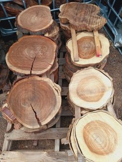 Natural Wood Slab Cross Sections Log Slices cookie cuts
