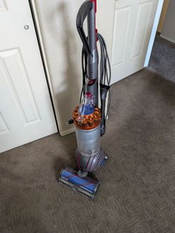 Dyson Ball Vacuum Animal 3