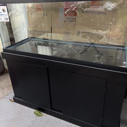 75 gal  Glass Aquarium Only!  w/ 305 Fluval Canister Filter  &  All decor items...(Black Stand, Red Devil Fish & Gravel are NOT included!)