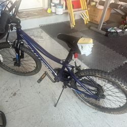 Schwinn Falcon Kids Bike